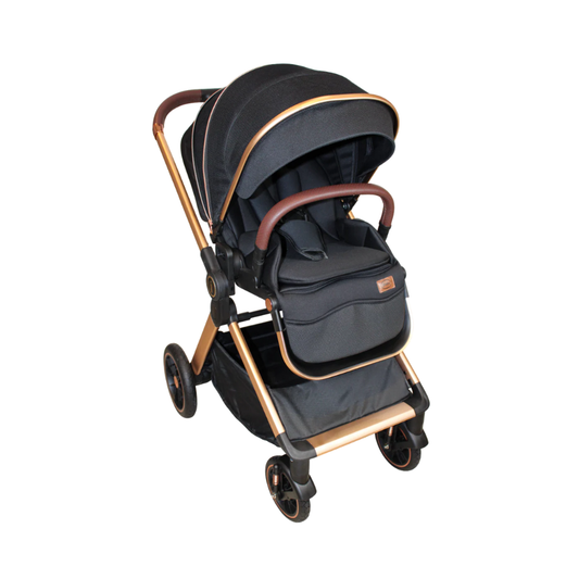 Carriola Victoria Ibaby Negro