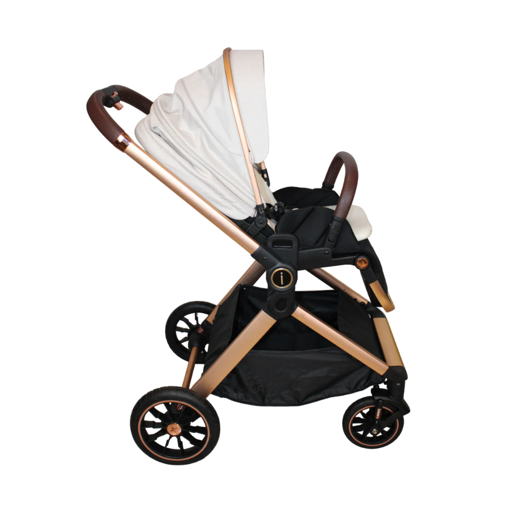 Carriola Victoria Ibaby Negro