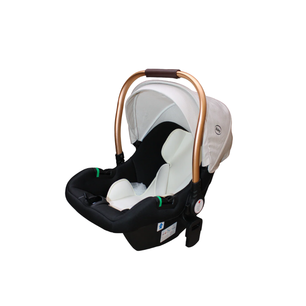 Carriola Victoria Ibaby Negro