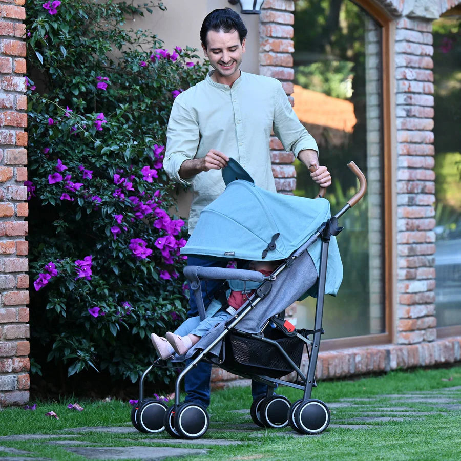 Carriola de Bastón Fiesta Azul