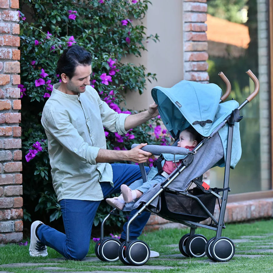 Carriola de Bastón Fiesta Azul