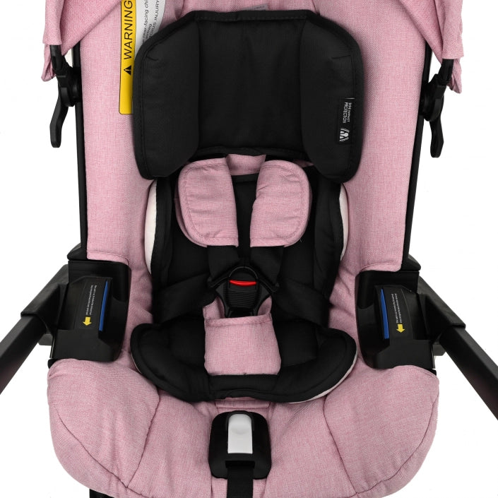 Volpe Rosa
