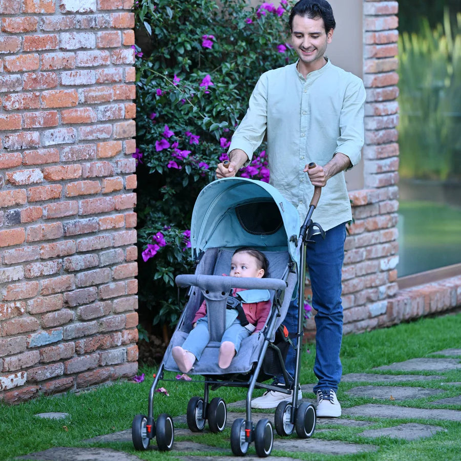 Carriola de Bastón Fiesta Azul