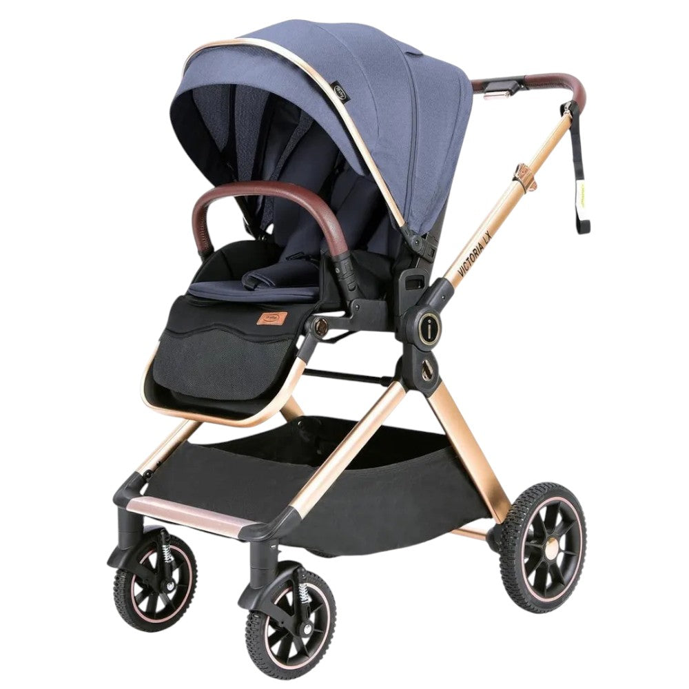 Carriola Victoria Ibaby Azul