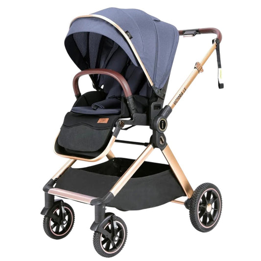 Carriola Victoria Ibaby Azul